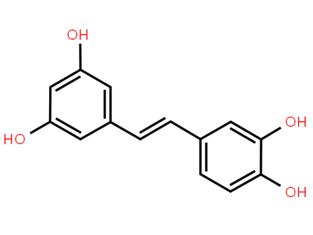 ޼J